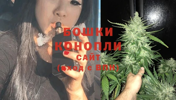 сатива Медвежьегорск
