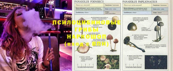 прущий лед Медногорск