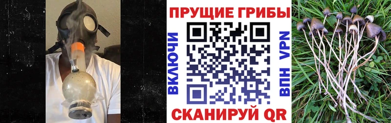что такое наркотик  Нариманов  Галлюциногенные грибы GOLDEN TEACHER 