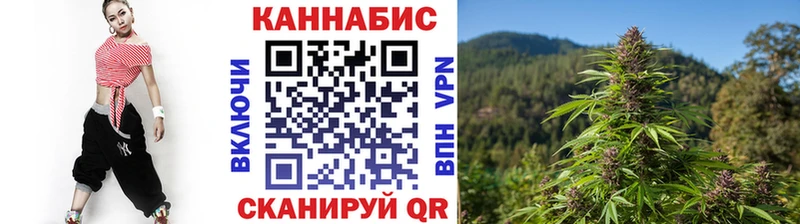 Шишки марихуана тримм  где купить наркоту  даркнет состав  Нариманов  mega сайт 